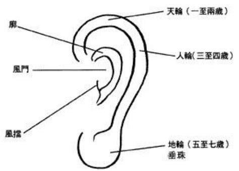 耳朵 面相|面相入门